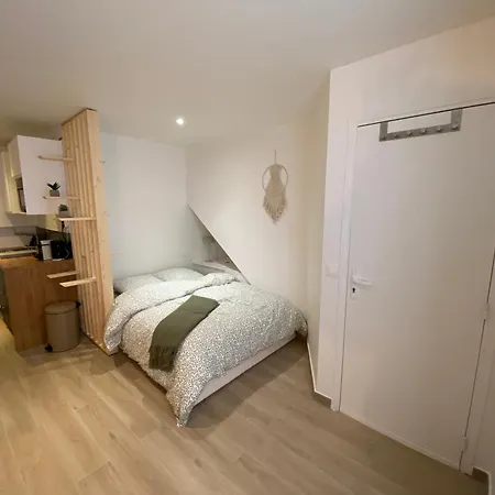 Apartment Renove Proche De La Gare Rer Tgv Massy (Essonne)